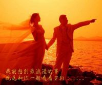 我的理想有个bug的图片
