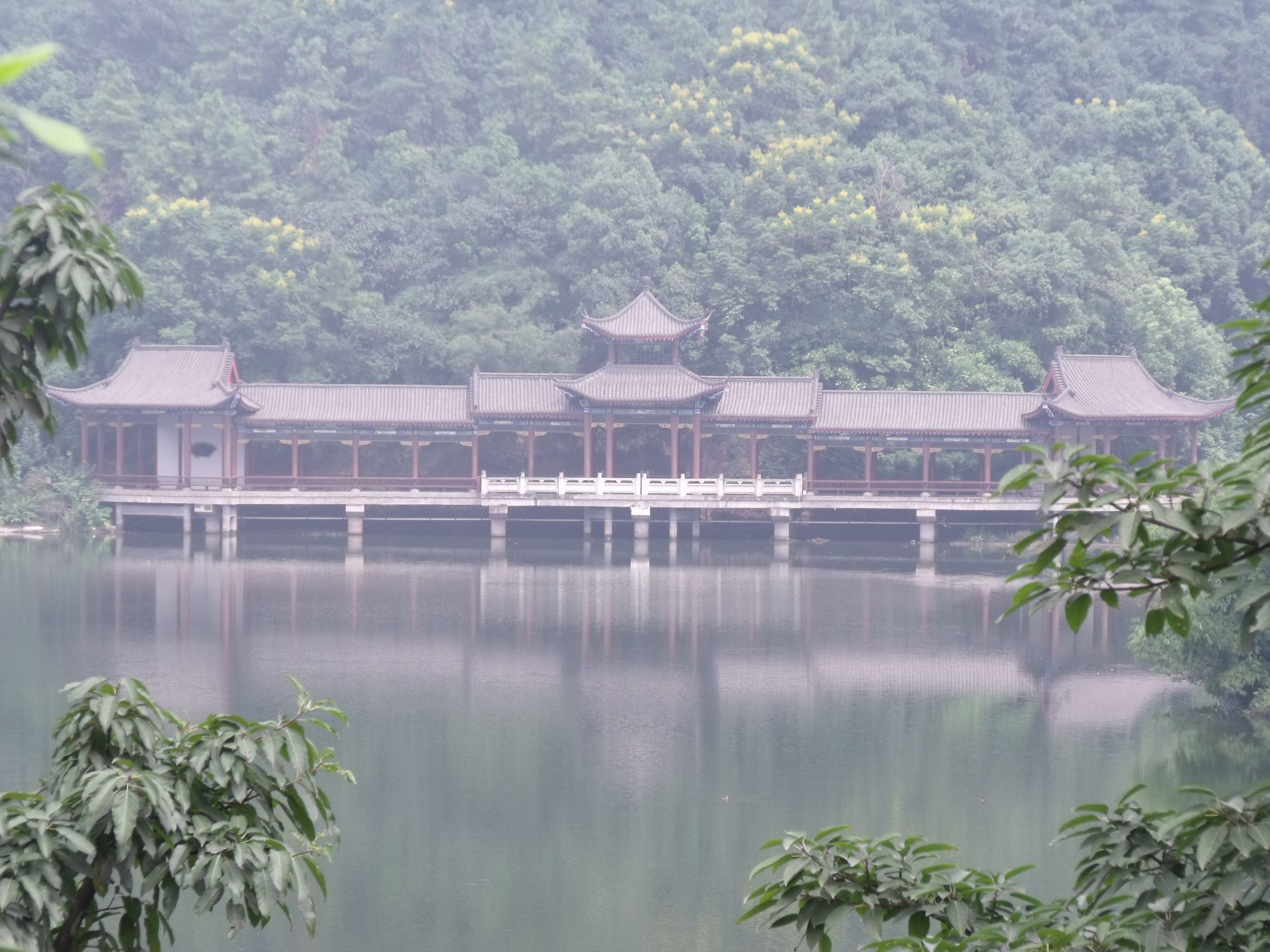 云游之路主播照片