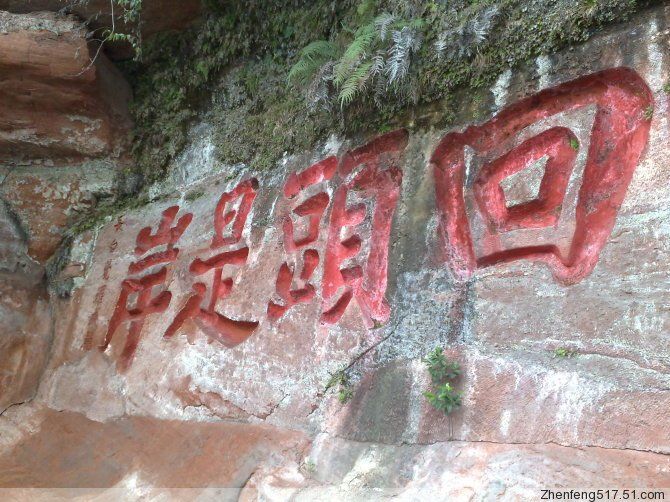 酒未沾唇、芯已醉$的主播照片