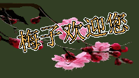 梅子微笑很甜主播照片