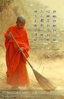 阿强我的主播照片