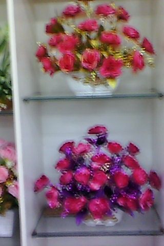 ゞ纵横╃四海的主播照片
