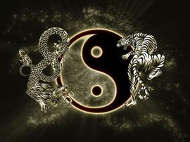 —炮神—主播照片