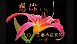 ⑦思_淼主播照片