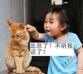 昵称违规，请重新修改主播照片
