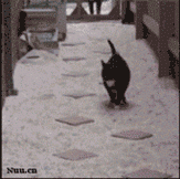 ⊙︿⊙疯狂De小奥主播照片