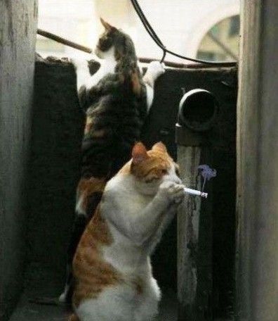 ~~~~~~木子的主播照片