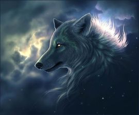 *可乐*主播照片