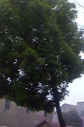 昵称违规，请重新修改主播照片