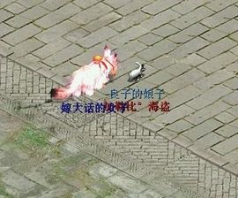 张小丫主播照片