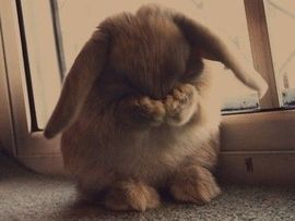 😸熱饅頭主播照片