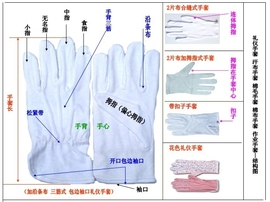 手套图样主播照片