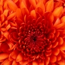Ray_ZhangL