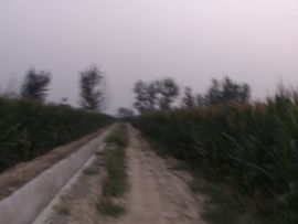 济世活人主播照片