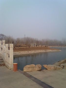顺为谁而醉主播照片