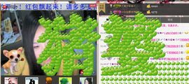 〆★冷饮★〆主播照片