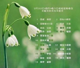 雪下得那么深主播照片