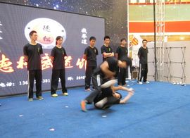 沈阳德松咏春拳学苑主播照片