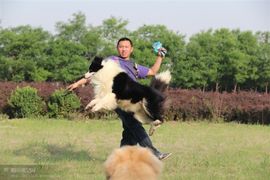 ♪♪雕刻时光.♪♪主播照片
