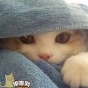T一起去看海T
