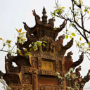 花海果都186188