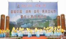 云雾山里茶飘香主播照片
