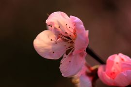 请无视我，慢慢飘主播照片