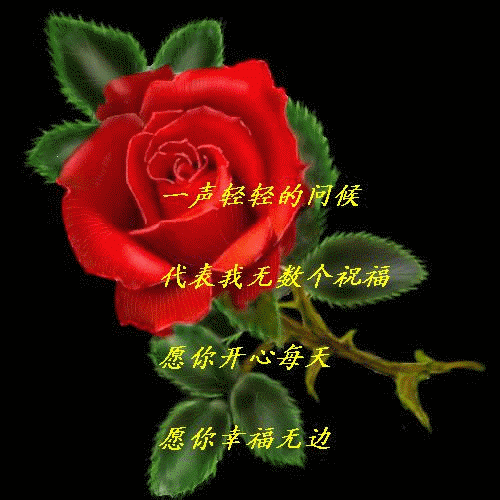宇宙//的主播照片