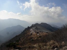 韩8282国主播照片