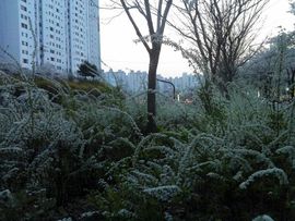 韩8282国主播照片