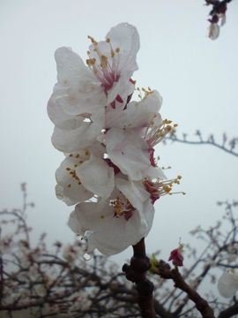 ★从走青春主播照片