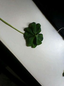 ╰ღM❤K☜小贝☞主播照片