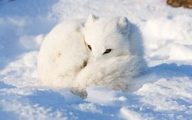 ღ苦涩的老头～～主播照片