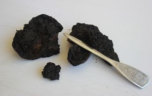 茶僧1的主播照片