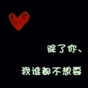 吴可迪挡