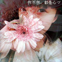 ♕☪⊰♥⊱丹儿℠的头像