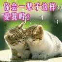 ⑥๑۩情意花心۩๑主播照片