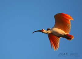 昵称违规，请重新修改主播照片