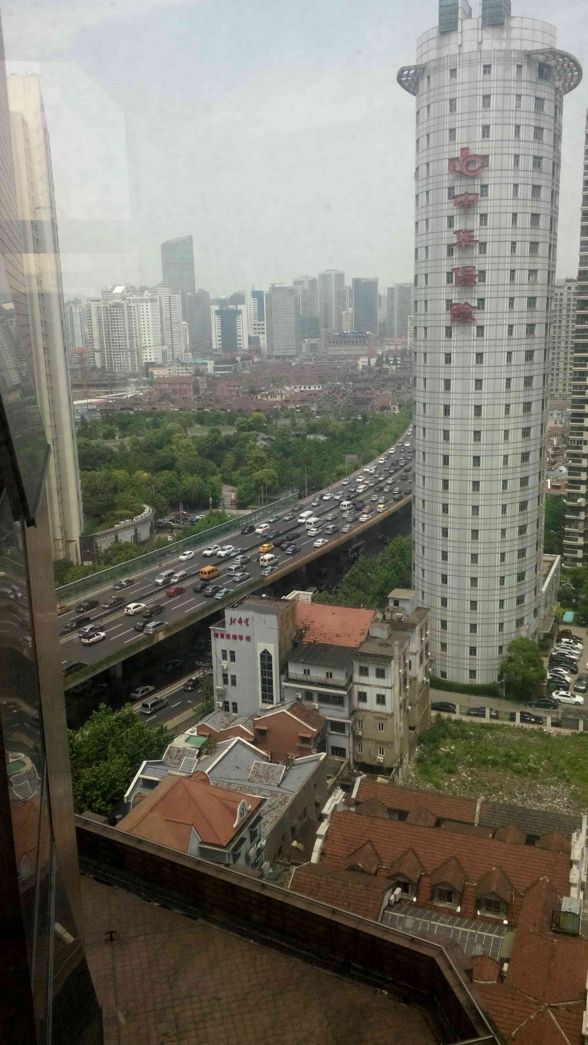 TZ晓东的图片