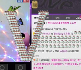 ⑥๑۩ღღღ小月۩๑主播照片