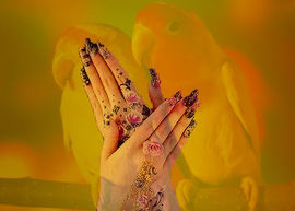 ☞承诺☜🙏主播照片