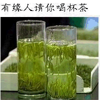 【做好自己】主播照片