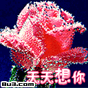 【做好自己】主播照片