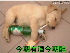 【做好自己】主播照片