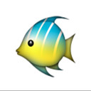 🐠游水的鱼🐠