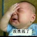 九五至尊@强哥@