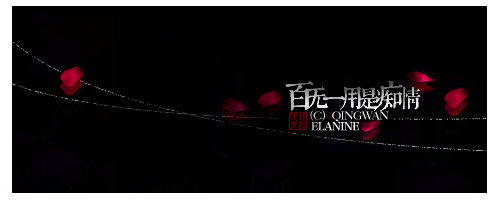 習慣有妮的图片
