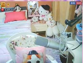 ❤❤爱猫♡老鼠主播照片