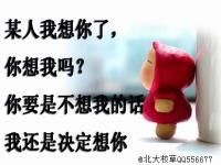 久象老公主播照片