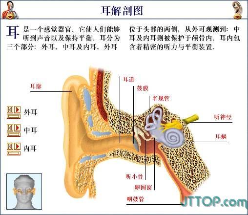 石头1126的主播照片